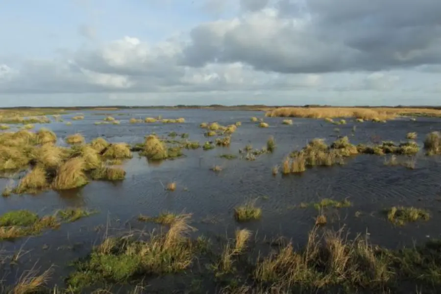 Zwanenwater overvol meer 2013 E Menkveld