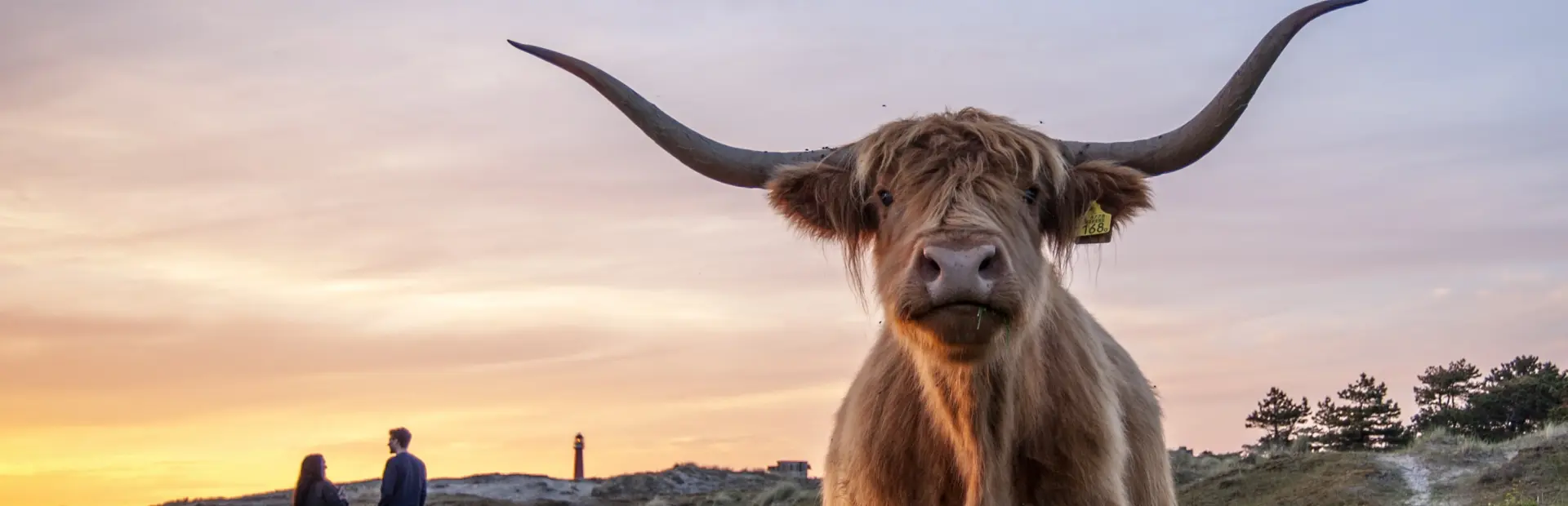 Sint maartenszee camping omgeving