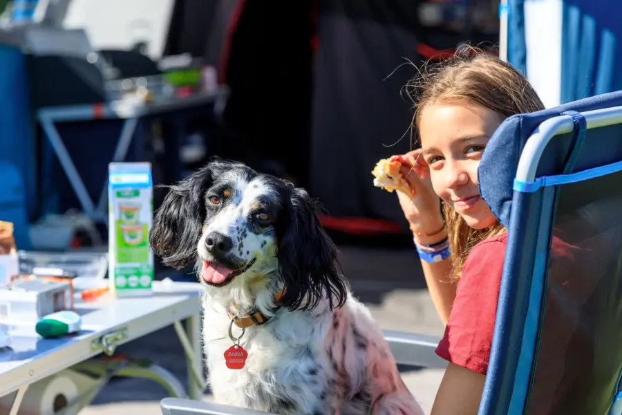 Honden toegestaan Tempelhof 1