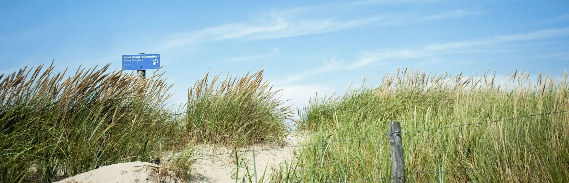 Duinen vlakbij Camping Tempelhof jpg