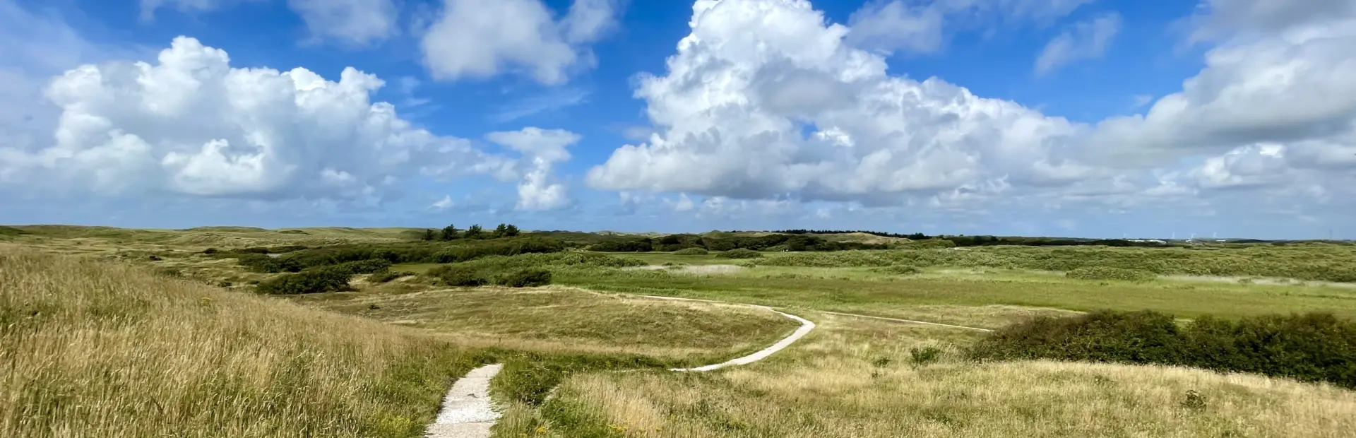 Uitzicht Zwanewater