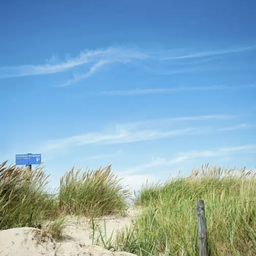 Duinen vlakbij Camping Tempelhof jpg
