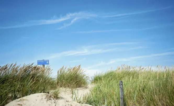 Duinen vlakbij Camping Tempelhof jpg