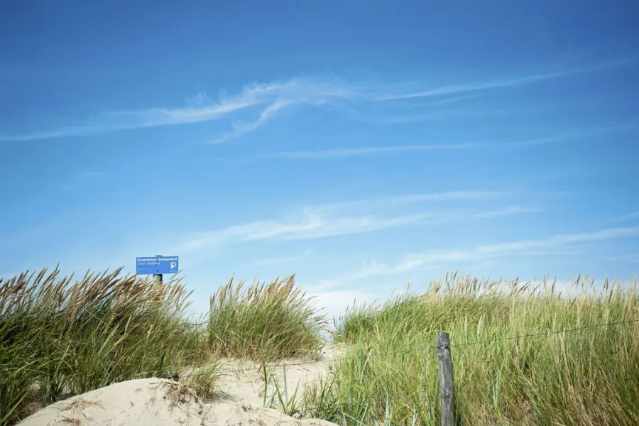 Duinen vlakbij Camping Tempelhof jpg