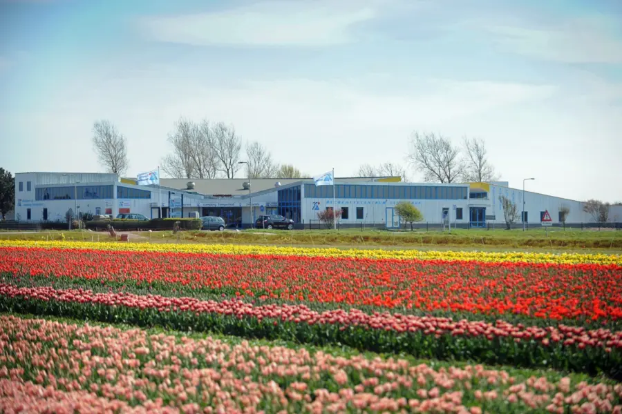 bloembollen velden Camping Tempelhof