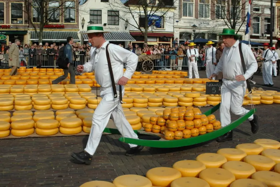 Cheese 2 1324372