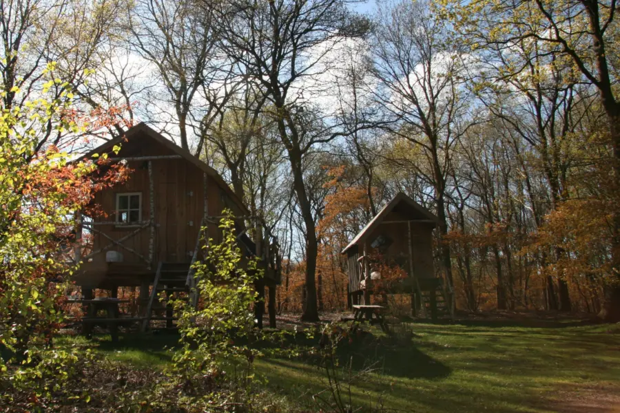 Boomhutten sfeerbeeld 282 29