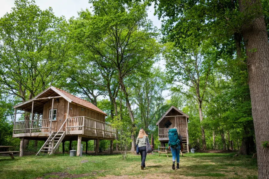 Torentjeshoek 2020 tenthuisjes grote veld 40