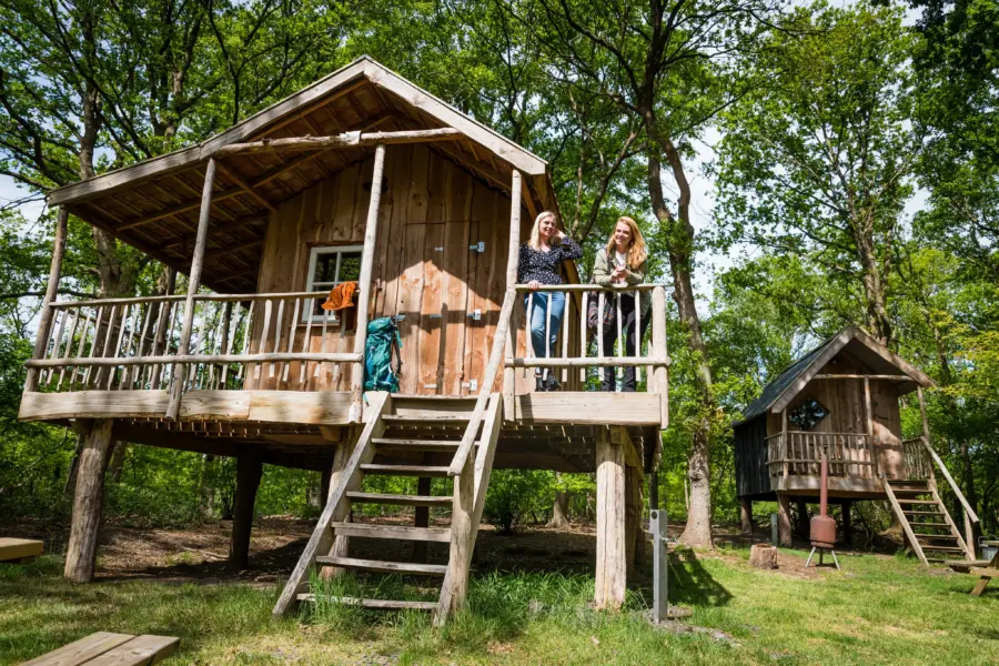 Torentjeshoek 2020 tenthuisjes grote veld 29