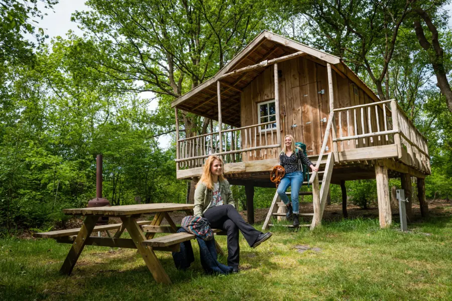 Torentjeshoek 2020 tenthuisjes grote veld 36