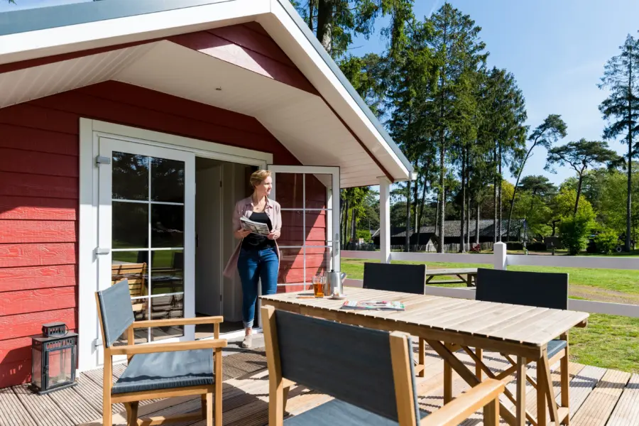 Mini chalet type 1 2811 29