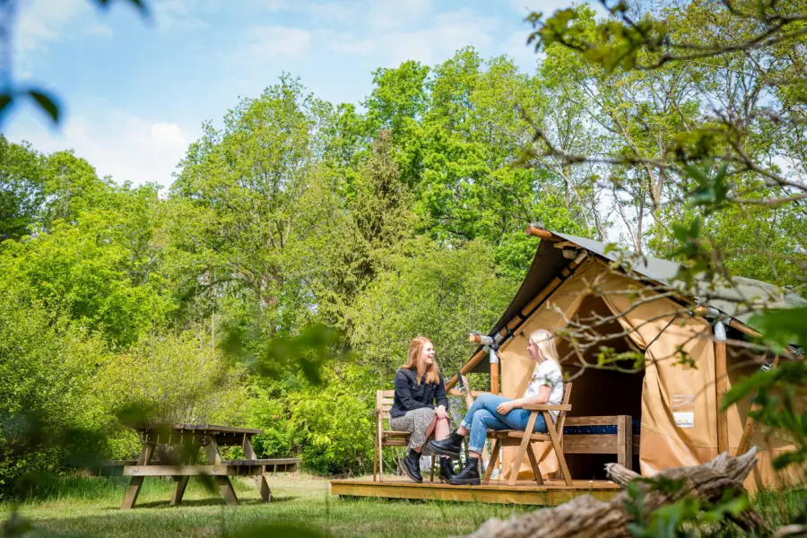Torentjeshoek 2020 tenthuisjes grote veld 25