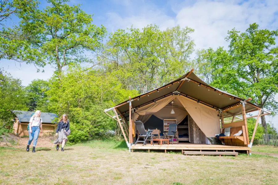 Torentjeshoek 2020 tenthuisjes grote veld 21