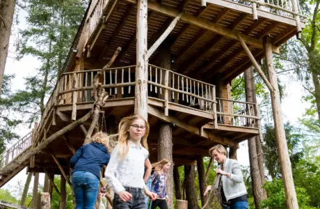 Treehouse 28boomhut xxl 29 286 29