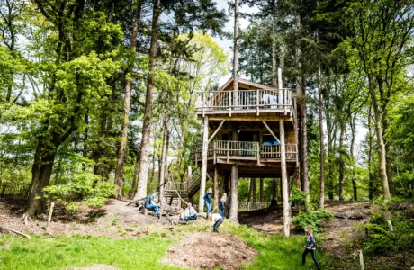 Treehouse 28boomhut xxl 29 2813 29