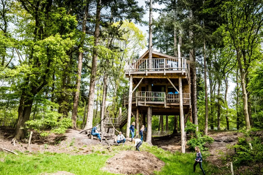 Treehouse 28boomhut xxl 29 2813 29