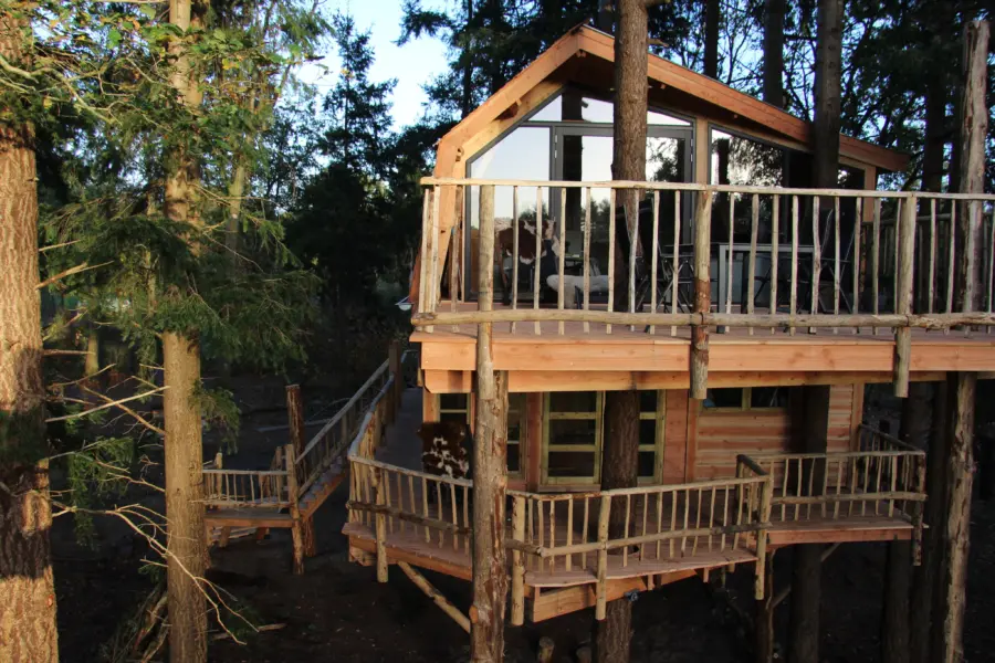 Treehouse 28boomhut xxl 29 2822 29