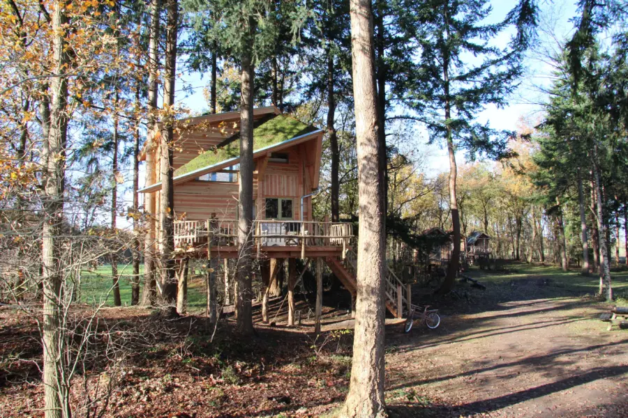 Treehouse 28boomhut xxl 29 2825 29