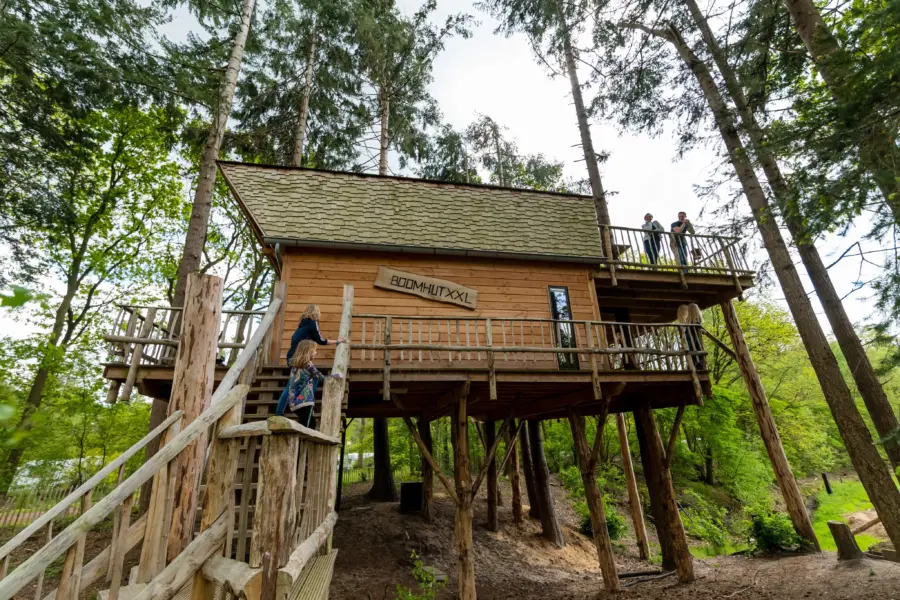 Treehouse 28boomhut xxl 29 2858 29