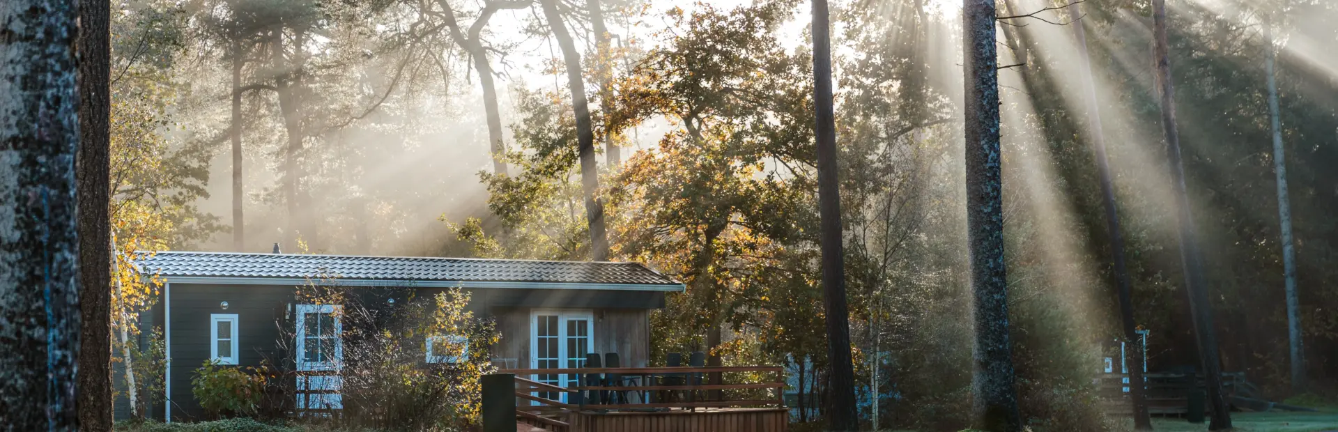 Thoek Herfst Sandys Fotografie 2026 269511 2
