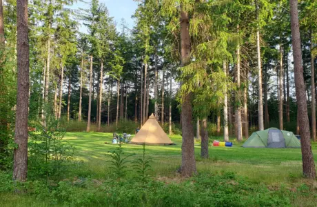 Kamperen 287 29