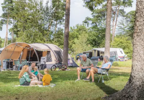 Familie met kinderen en grootouders geniet samen op het gras bij een tent op Camping Torentjeshoek, omgeven door bomen.
