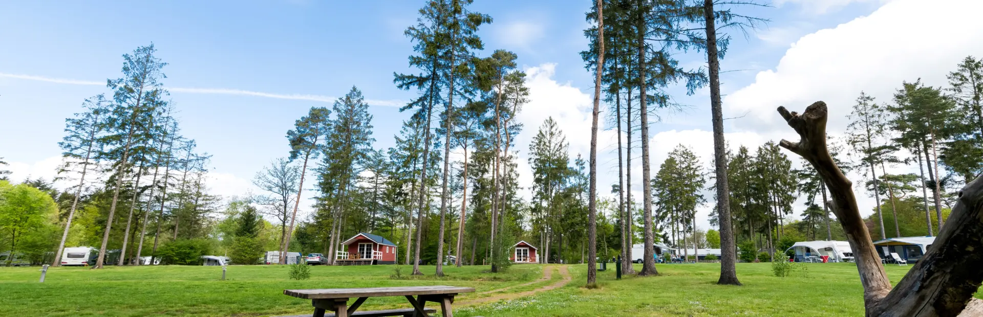 Torentjeshoek E veld 2