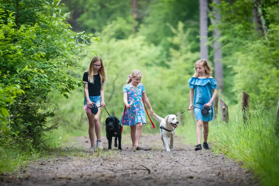 Torentjeshoek Honden 7