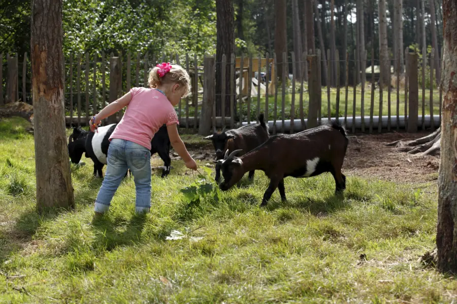 Spelen op Torentjeshoek 6
