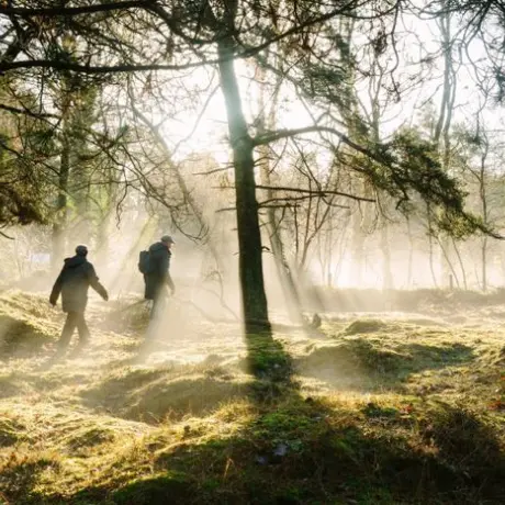 Wandelen drenthe