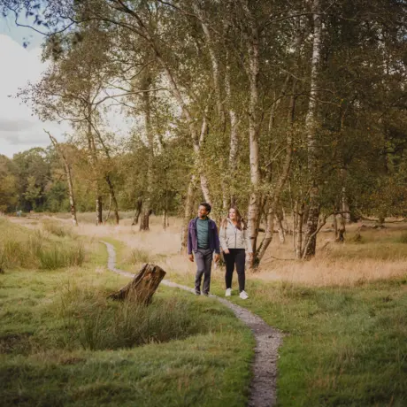 TH omgeving natuur wandelen gast stel