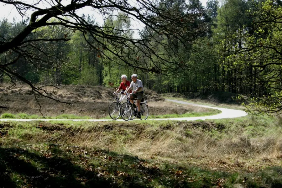 Dwingelderveld 4
