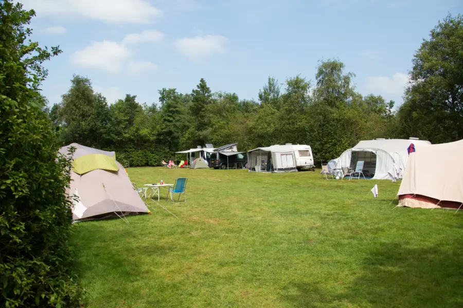 Standaard kampeerplaats in Frieland Camping It Wiid (1)