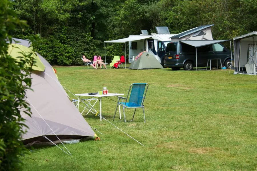 Standaard kampeerplaats in Frieland Camping It Wiid (2)