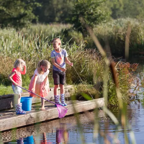 It wiid kinderen vissen aan het water