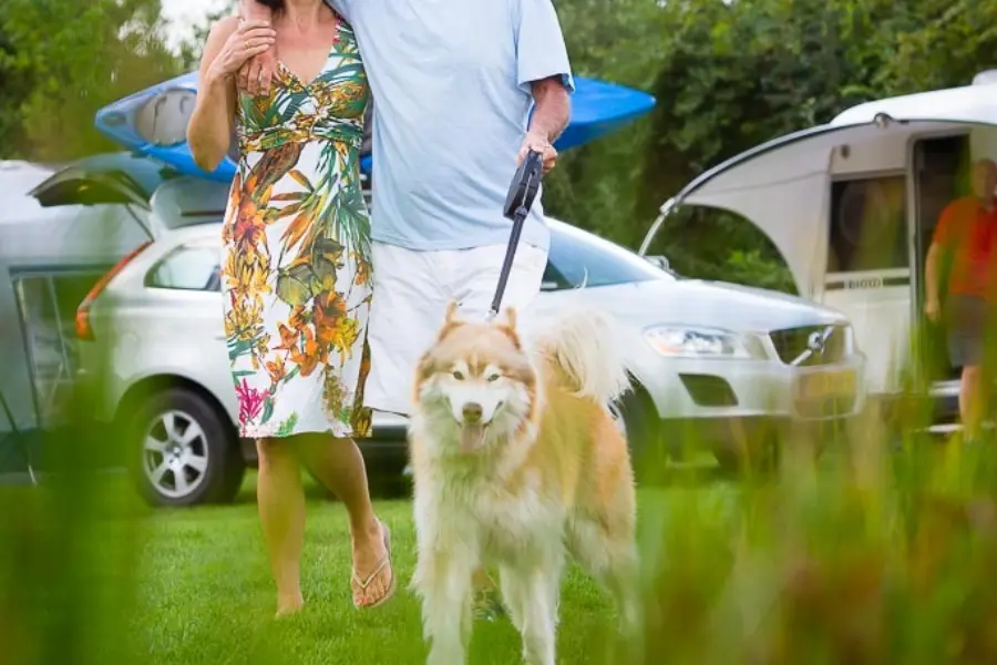 Campingshoot 2015 t Wiid 046