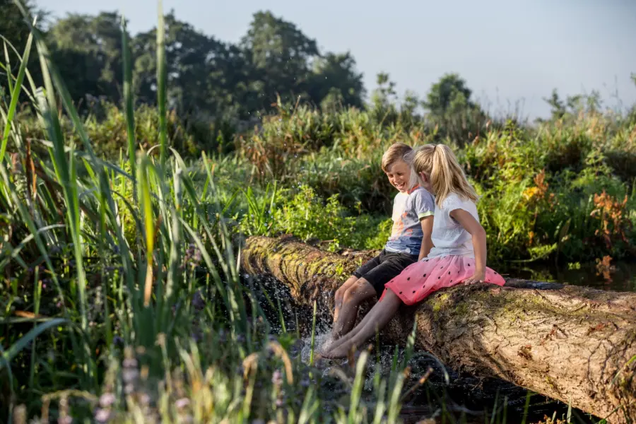 It wiid kinderen zitten op boomstronk