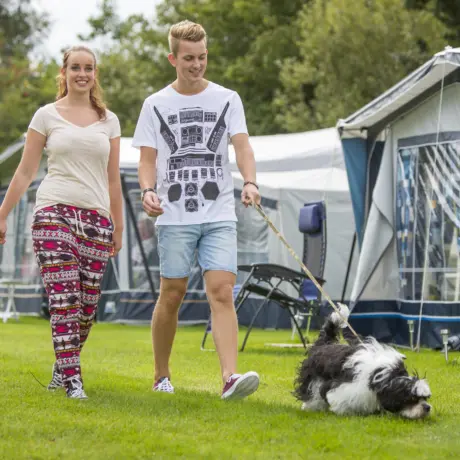 It wiid honden toegestaan op camping