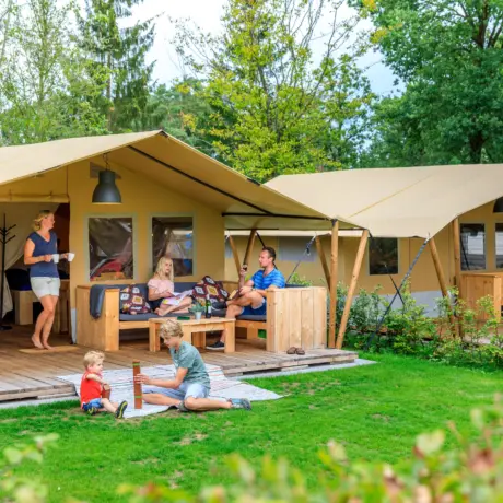 Zandhegge gelderlandzandhegge3 281 29