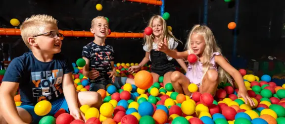 Ballenbak spelende kinderen heggies