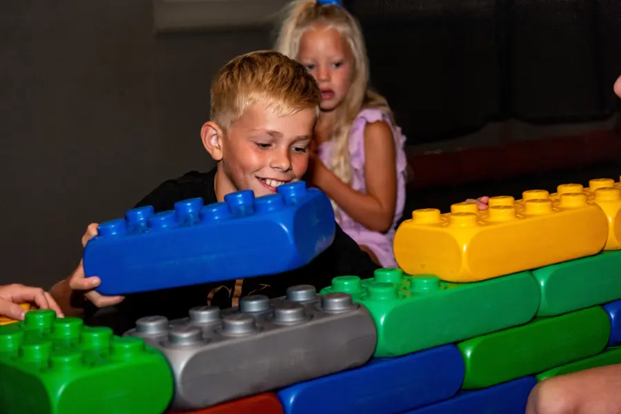 Lego blokken heggies