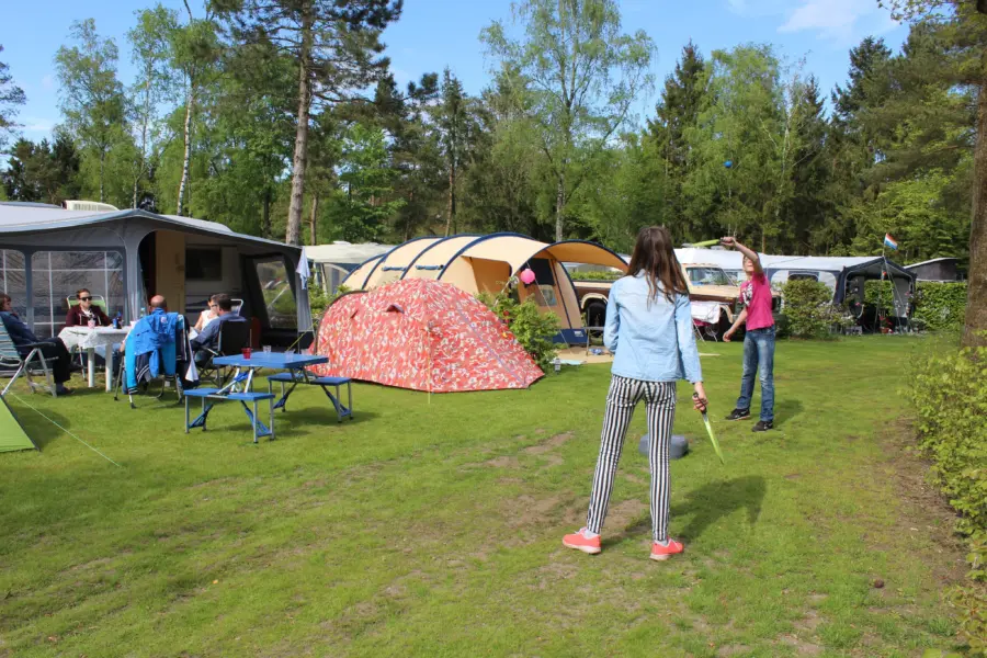 comfort plaats Camping de Zandhegge H 38