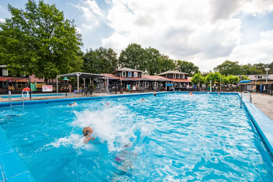 Zwemmende kinderen zwembad