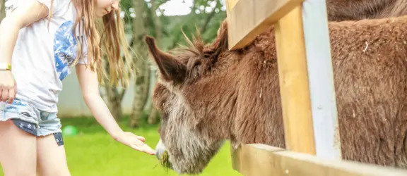 Dreamstime xxl 73349314