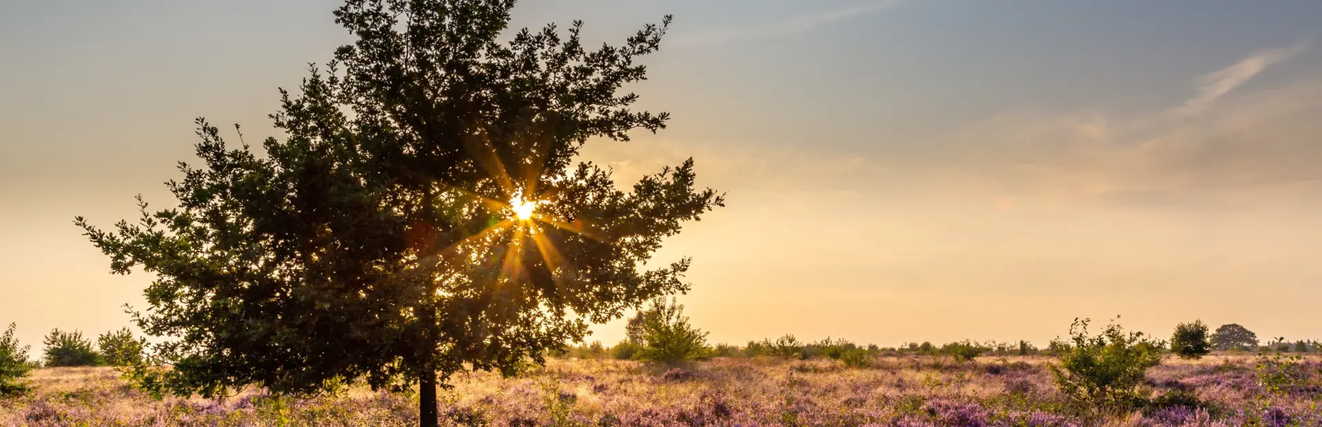 Depositphotos_299977242_xl-2015