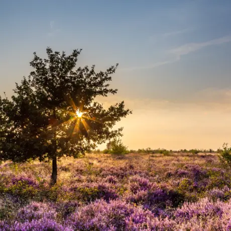 Depositphotos_299977242_xl-2015