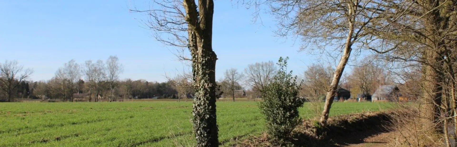 Omgeving camping de zandhegge schaveren 9