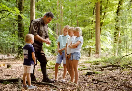 Bos omgeving met gids voor kinderen bij Camping De Zandhegge in Gelderland