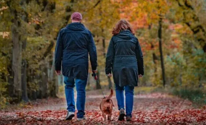 ZH omgeving stel wandelen bos 2