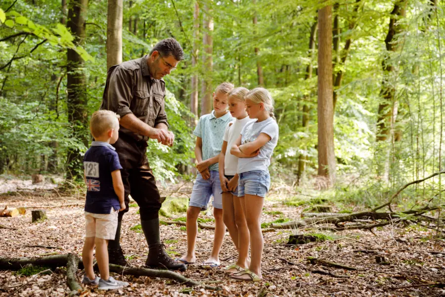 Bos omgeving met gids voor kinderen bij Camping De Zandhegge in Gelderland